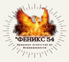АН "Феникс 54"