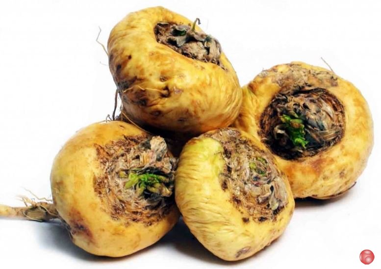 Купить Маки перуанской экстракт