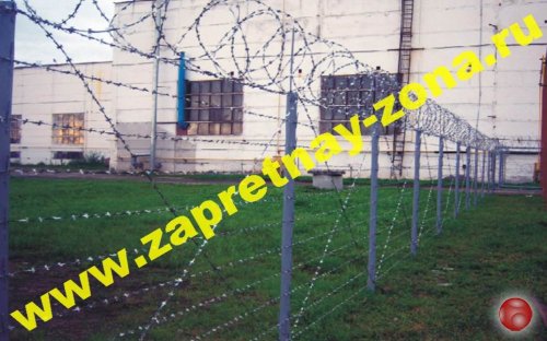 Колючая проволока Егоза в Туле