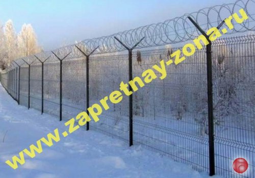 Колючая проволока Егоза в Нижнем Новгороде .