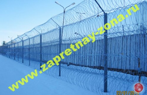 Колючая проволока Егоза в Санкт-Петербурге
