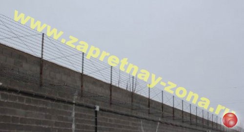 Колючая проволока Егоза в Санкт-Петербурге