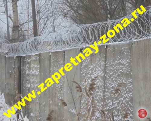 Купить колючую проволоку Егоза в Санкт-Петербурге