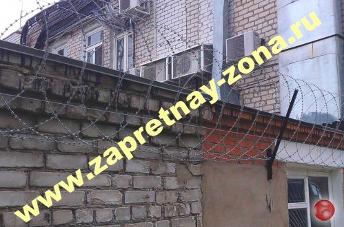 Колючая проволока Егоза в Нижнем Новгороде .
